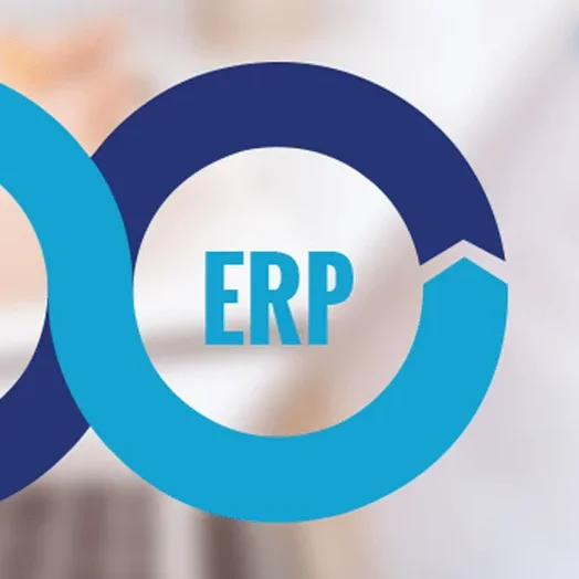 Safe Simple Convenient Easy ERP System logiciel ERP CRM Software Development Small Company Small Business Online Management