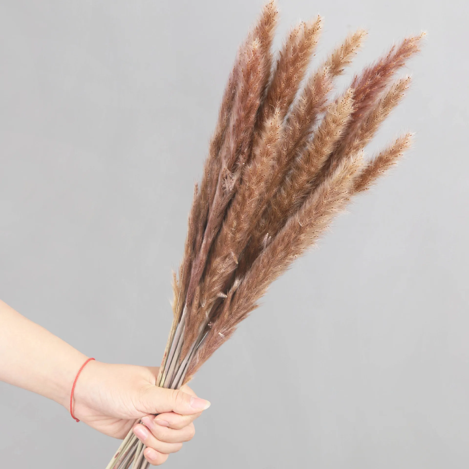 Dried flower customizable Package 45cm  Dried Pampas Grass potpourri dried flowers