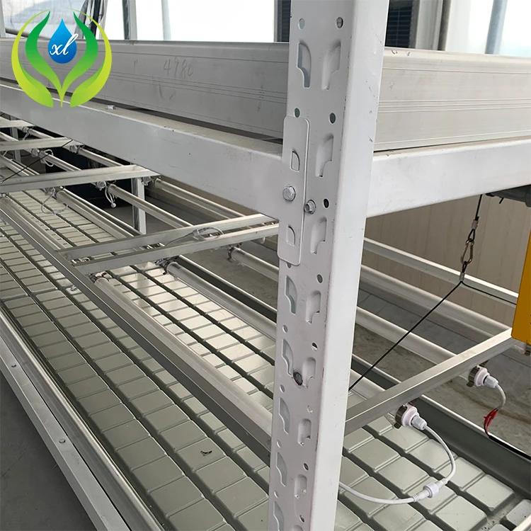 MYXL Walk In Greenhouse Hydroponic Greenhouse Shelves Grow Racks