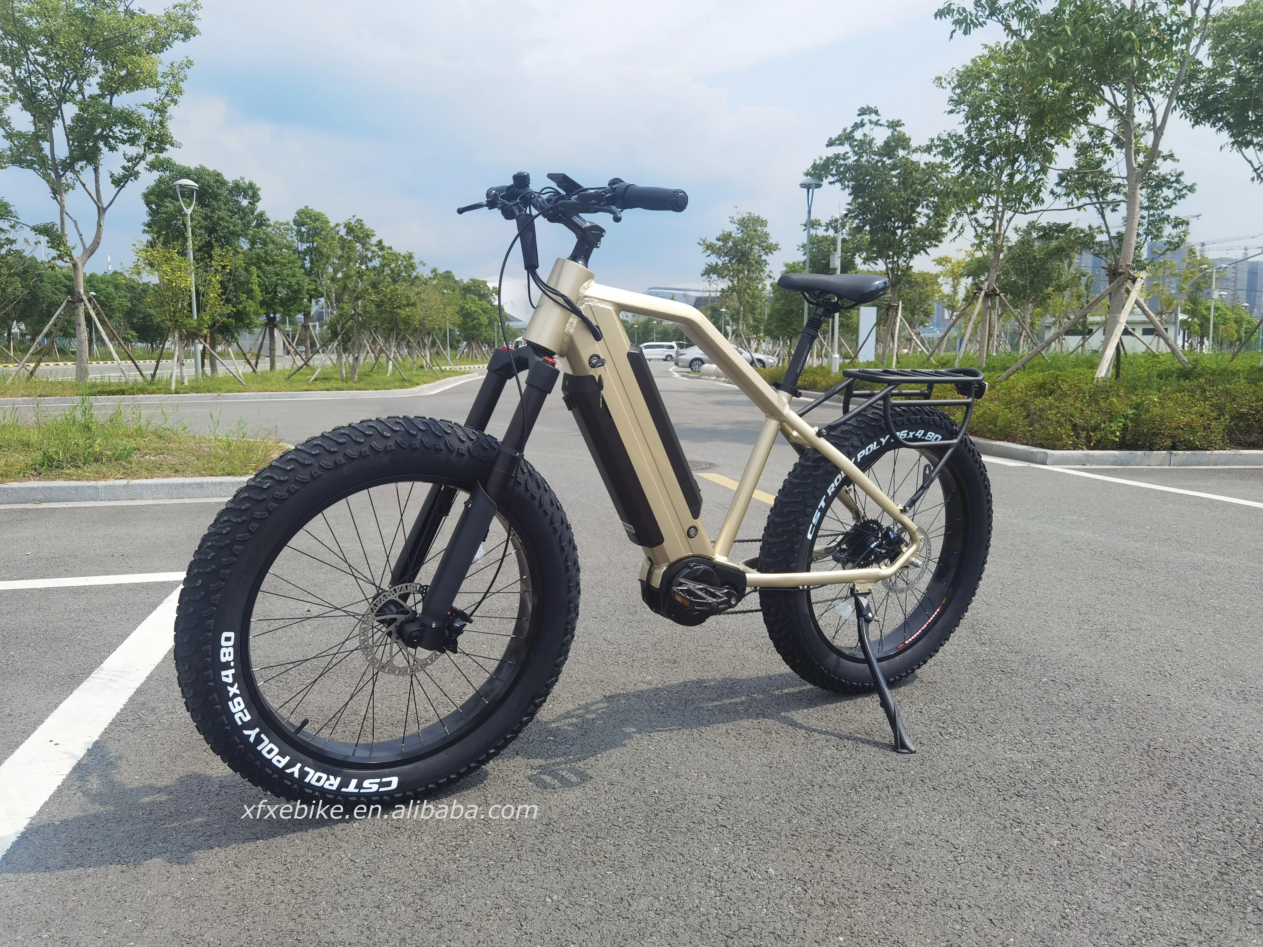 Mountain 26Inch'*4.8 CST Tires Dual 17.4Ah Hidden Battery 48V 1000W Bafang Mid Dive Motor Fat Tire Electric Bike