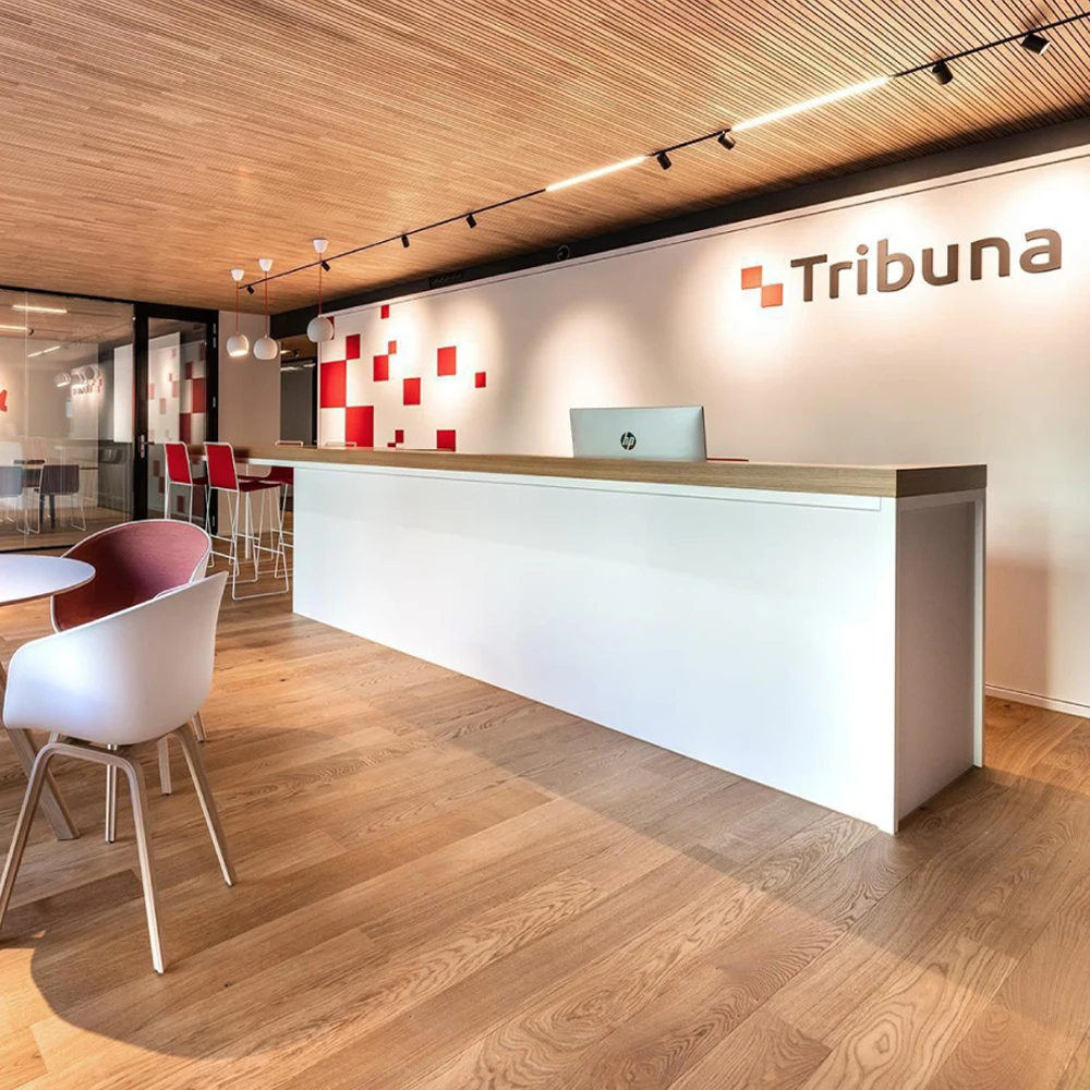 OKELI Smart Cintrol High quality Recessed Magnetic Track DC48V Led Track Light System