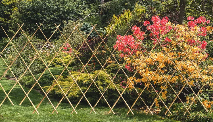 Дешевые искусственные бамбуковые ограждения панели забор Натуральный Бамбуковый шпалер