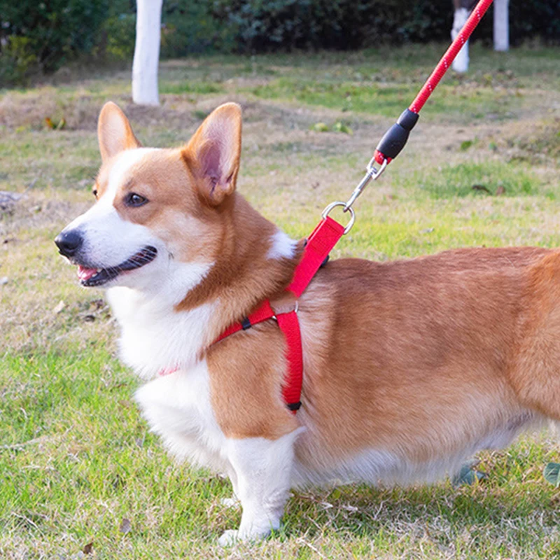 Pet Dog Rope High Density Strong  Durable Buckle Adjustable Pet Leash  Tow Rope Brawding Walking Dog