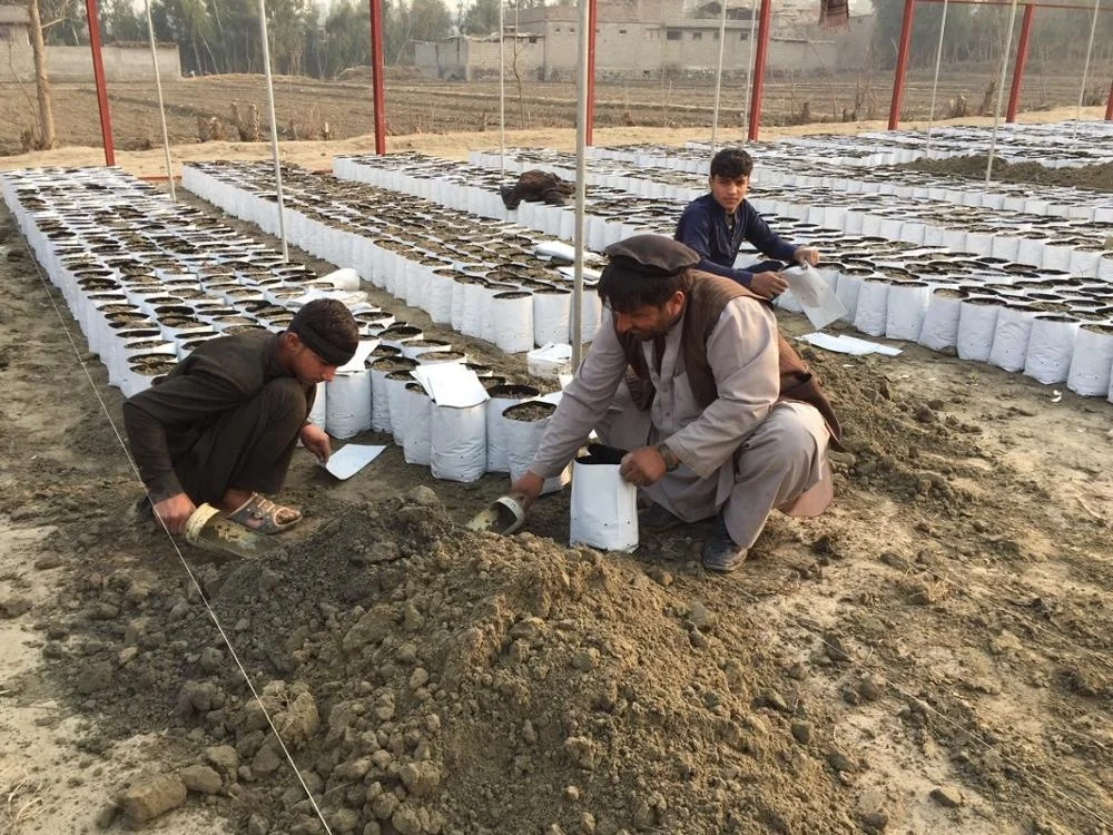 UV Treated Hydroponic White Black Panda Poly Grow Bags for vegetable planter, tree seedlings, fruit plant nursery