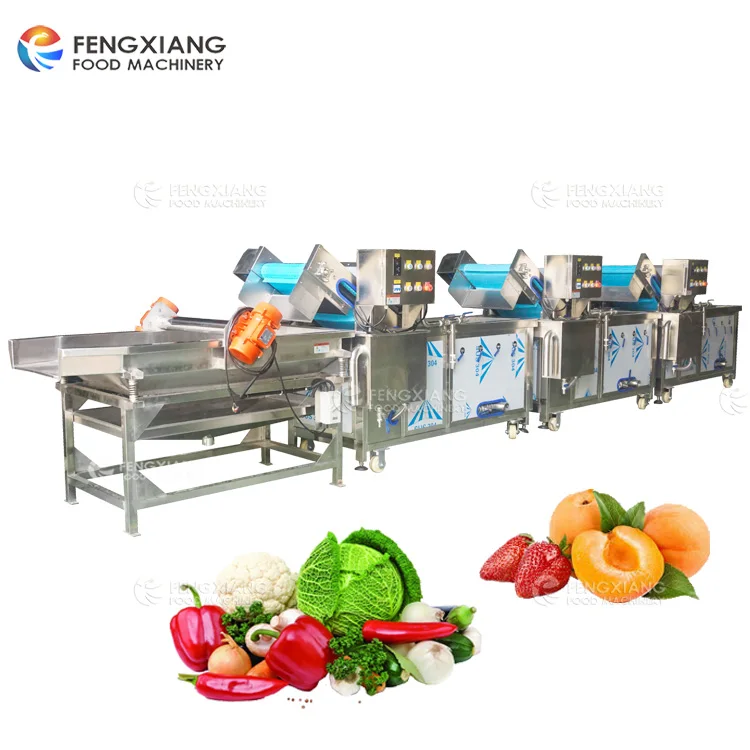 WA-1000 Vegetable Washing Machine Salad Lettuce Bubble Washing Machine