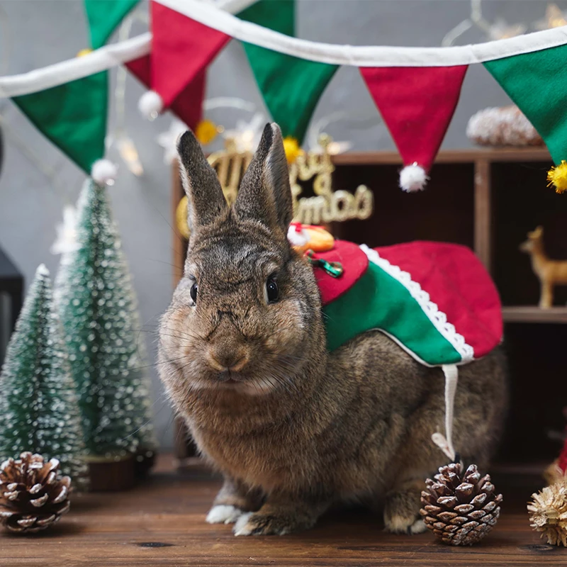 New year Christmas Christmas clothes flag guinea pig chinchilla Christmas cloth bag grass rack traction rope rabbit vest clothes