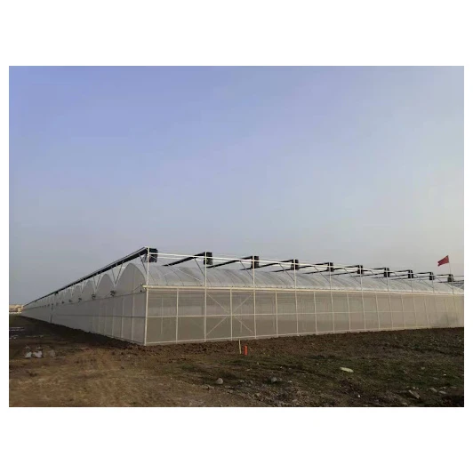 Factory price greenhouse plastic PE film multi-span greenhouse for growing vegetables and fruits