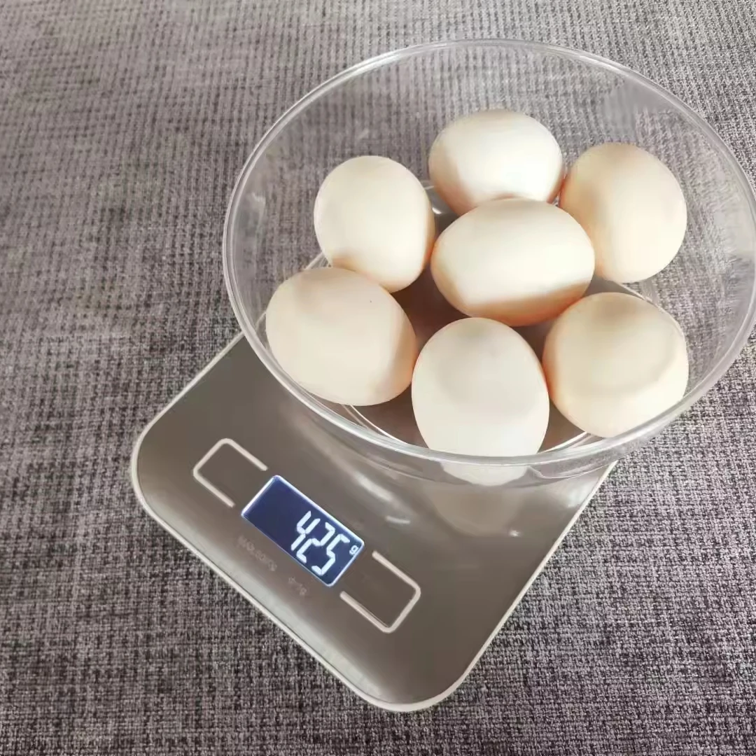 Hot Selling Wholesale 5kg Stainless Steel Health Digital Electronic Kitchen Weight Scale Waterproof Food Weighing Scale