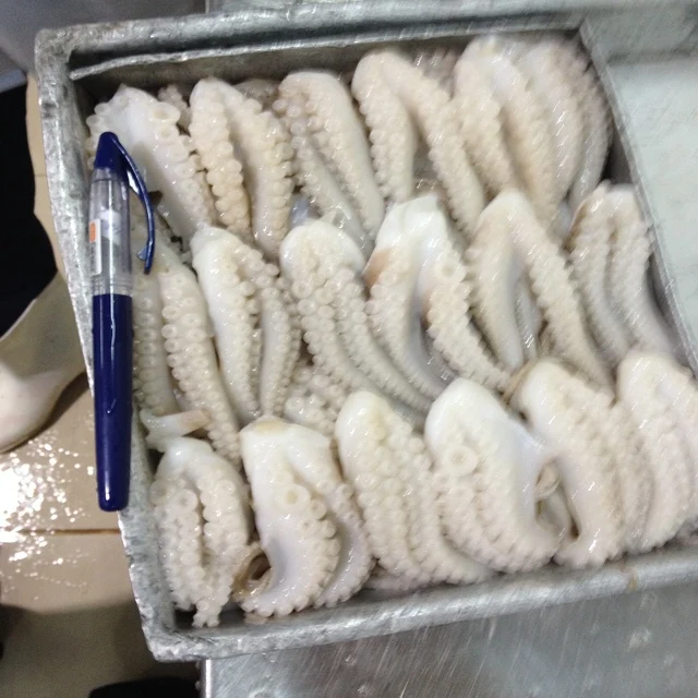 
FROZEN CUT POULP SQUID FROM VIET NAM 