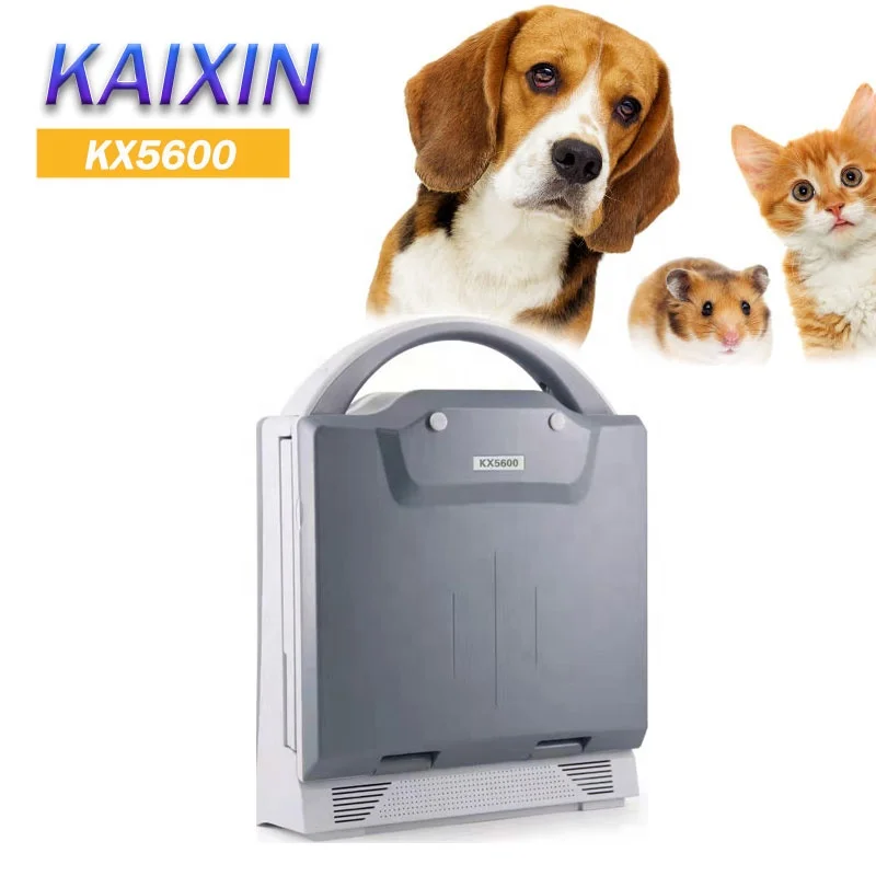 medical ultrasound instruments Small vet/veterinary ultrasound animals dog/horse usg machine price KX5600