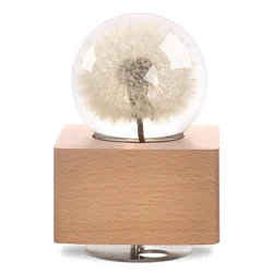 Real Fresh Flower Crystal Ball Wooden Base Design Music Box With LED Night Light For Birthday Valentine Christmas New Year Gift