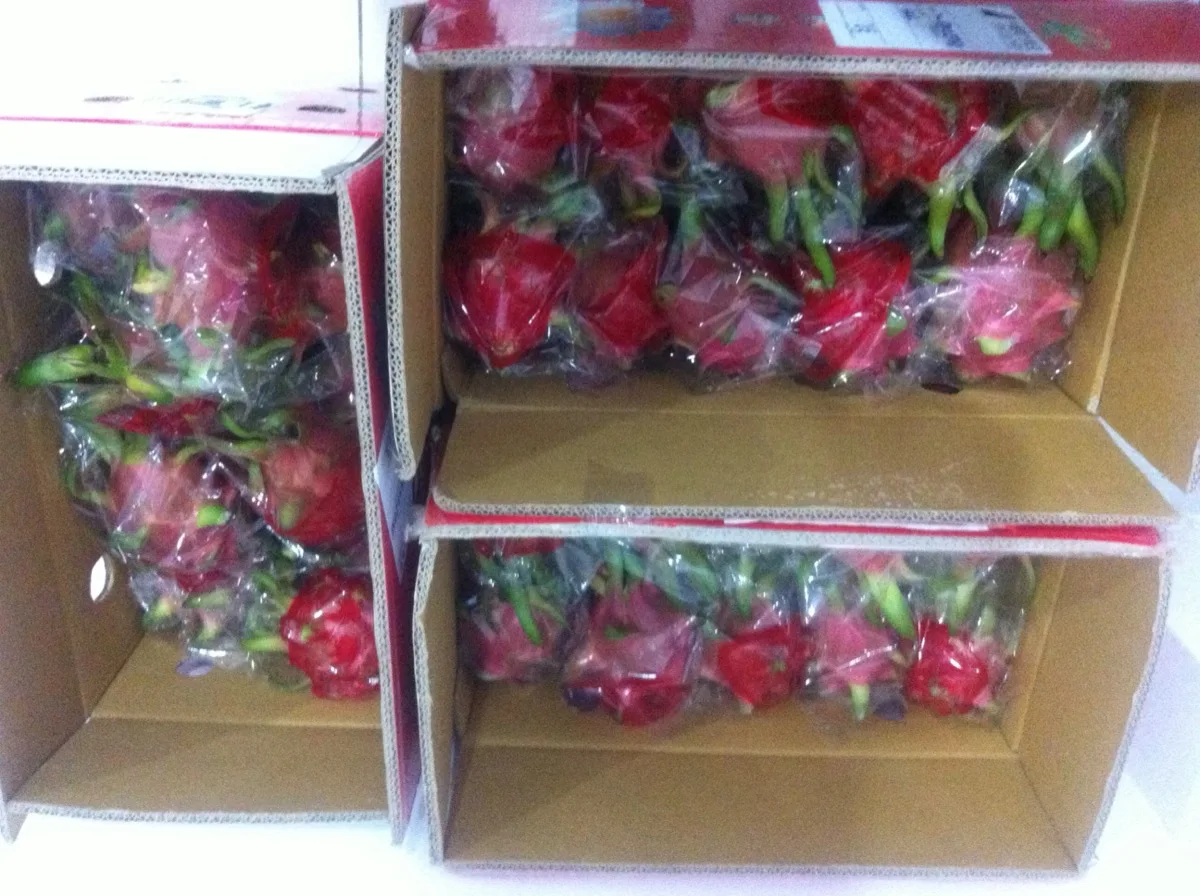 
Red/White flesh dragon fruit from Vietnam with great price, limited offer! 