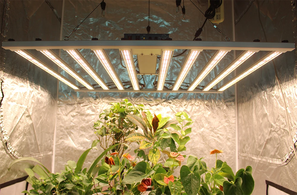 Figolite 1000w led grow light10 bars indoor plant dimmable full spectrum Original LM301H EVO