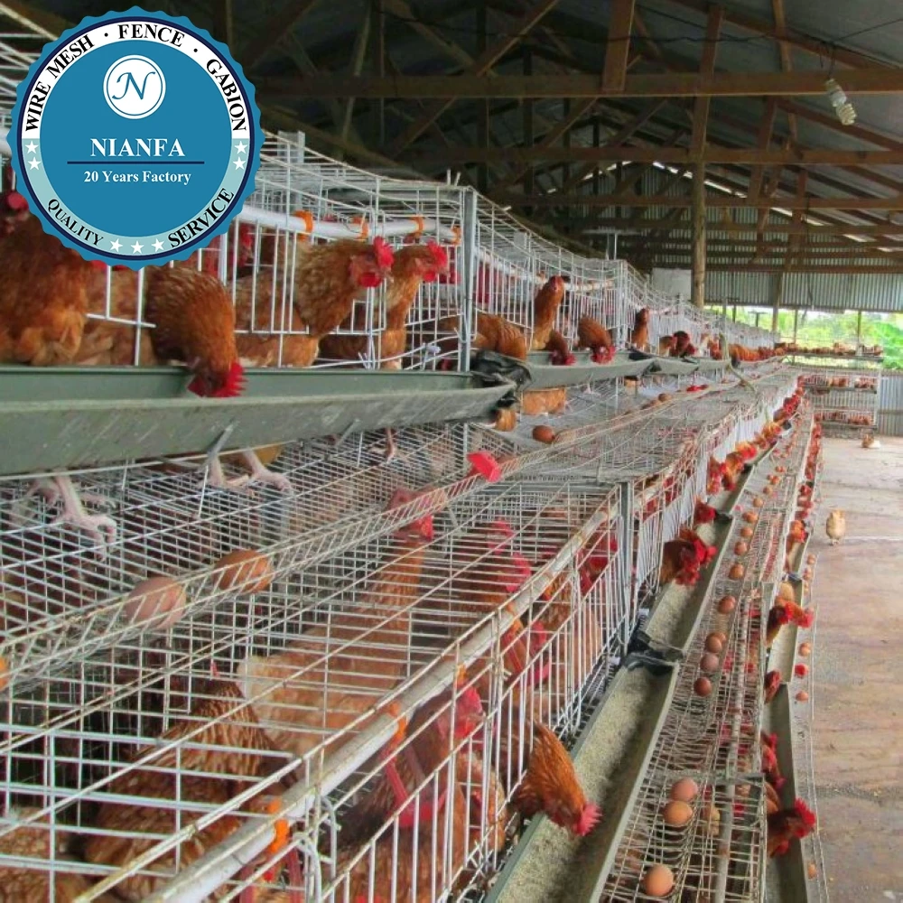 Guangzhou Thick Hot Galvanized Chicken Breeding Cage for Layer Chicken