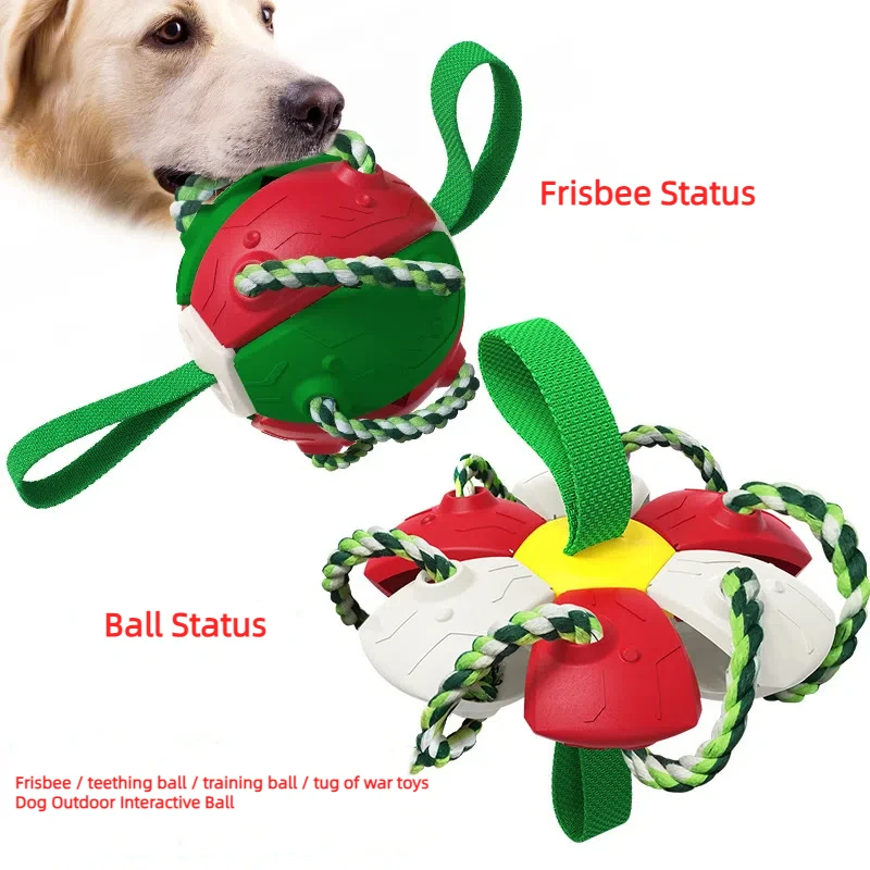Factory Home New Interactive Flying Disc Explosive Models Outdoor Training Tunnel for Frisbee Football and Dog Toys