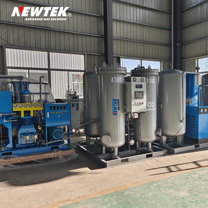 NEWTEK Oxygen Gas Plant Oxygen Generator Medical Oxygene Production Plant Provide On-site Installation Free Services