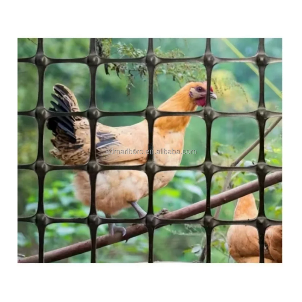 PP Biaxial Plastic Geogrid for Soil Reinforcement Polypropylene Geogrid Ground Grid As Chicken Fence