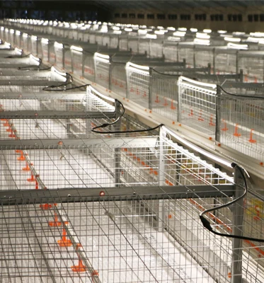 Automatic system broiler chicken cage broiler poultry farming equipment automatic layer cages