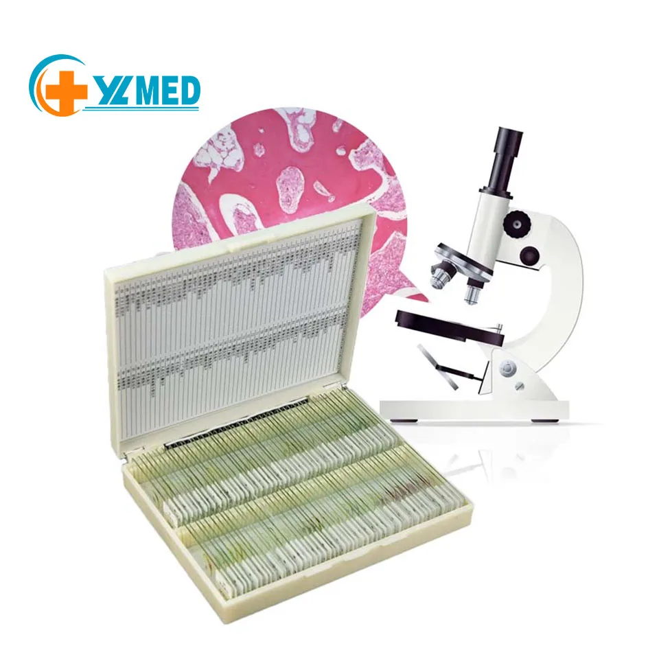 Educational Teaching Preparation Microscope Slides Biology Teaching Specimens Parasite Microscope Slides