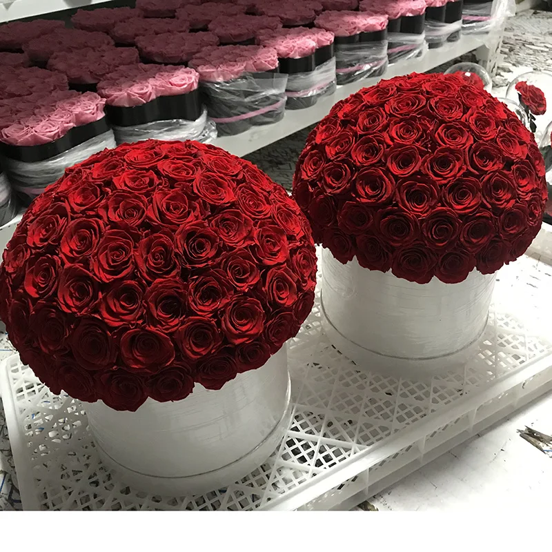 valentinstag a grade wholesale preserved roses long life roses ecuador preserved real rose preserved in 24k gold