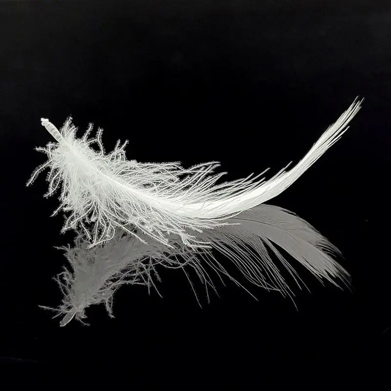  Cheap 100% Washed Natural Goose Down Fill Feather For