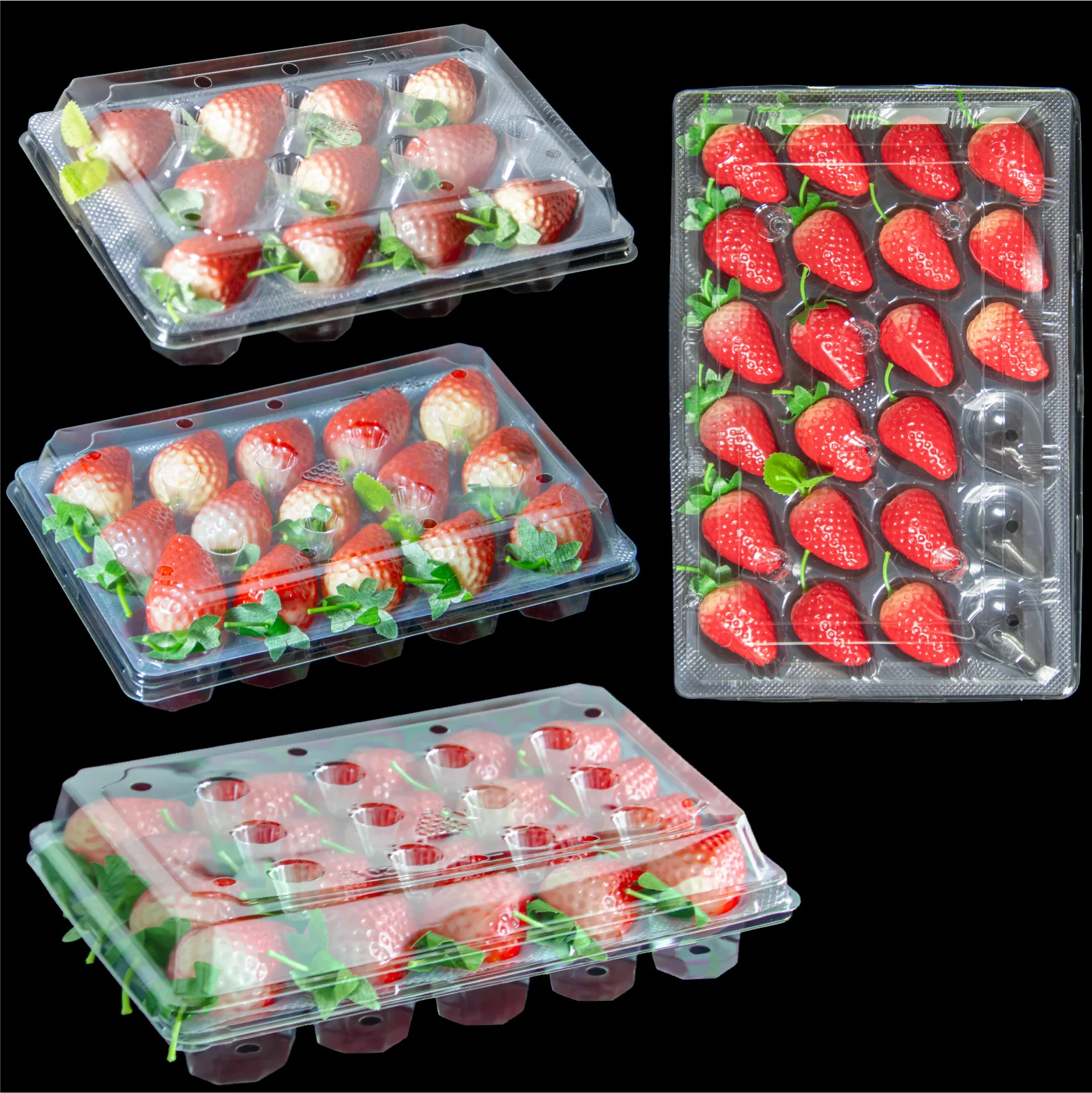 RPET Grape Strawberry Boxes Food Grade Recyclable Disposable Fruit Food Packaging Fruit Clamshells Plastic Box Blister Box