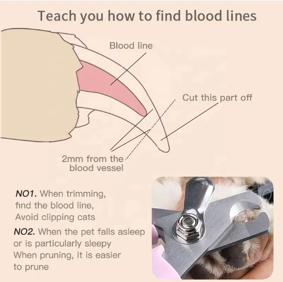 Factory Wholesale Color Box Packaging Pet Nail Scissors Dog Nail Cutter Cat Dog Nail Clipper