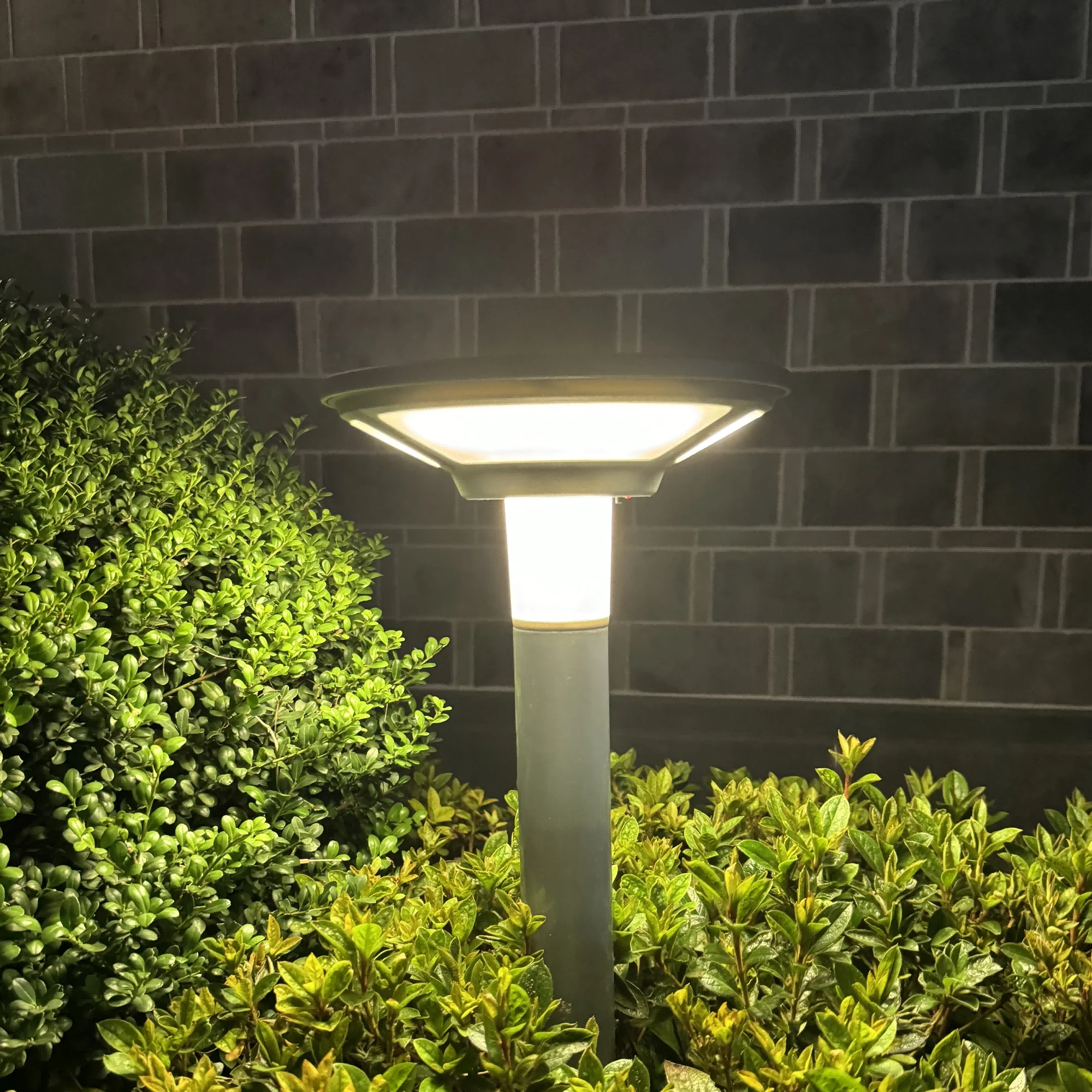 Meixin Pathway Decorative Lights Solar Powered LED Ground Solar Garden Light