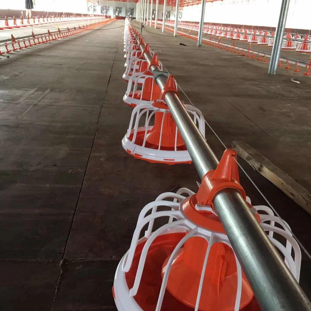 pan feeding system  for broiler layer chicken drinkers automatic pan feeding system