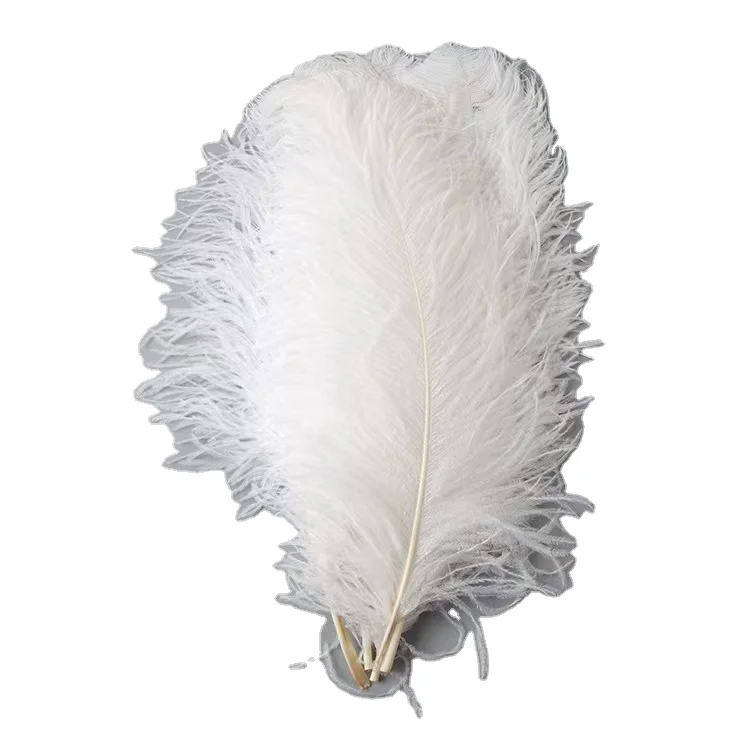Top Quality 50-55cm White Ostrich Feathers/ Plumes Carnival Ostrich Feathers Wedding Decoration For party
