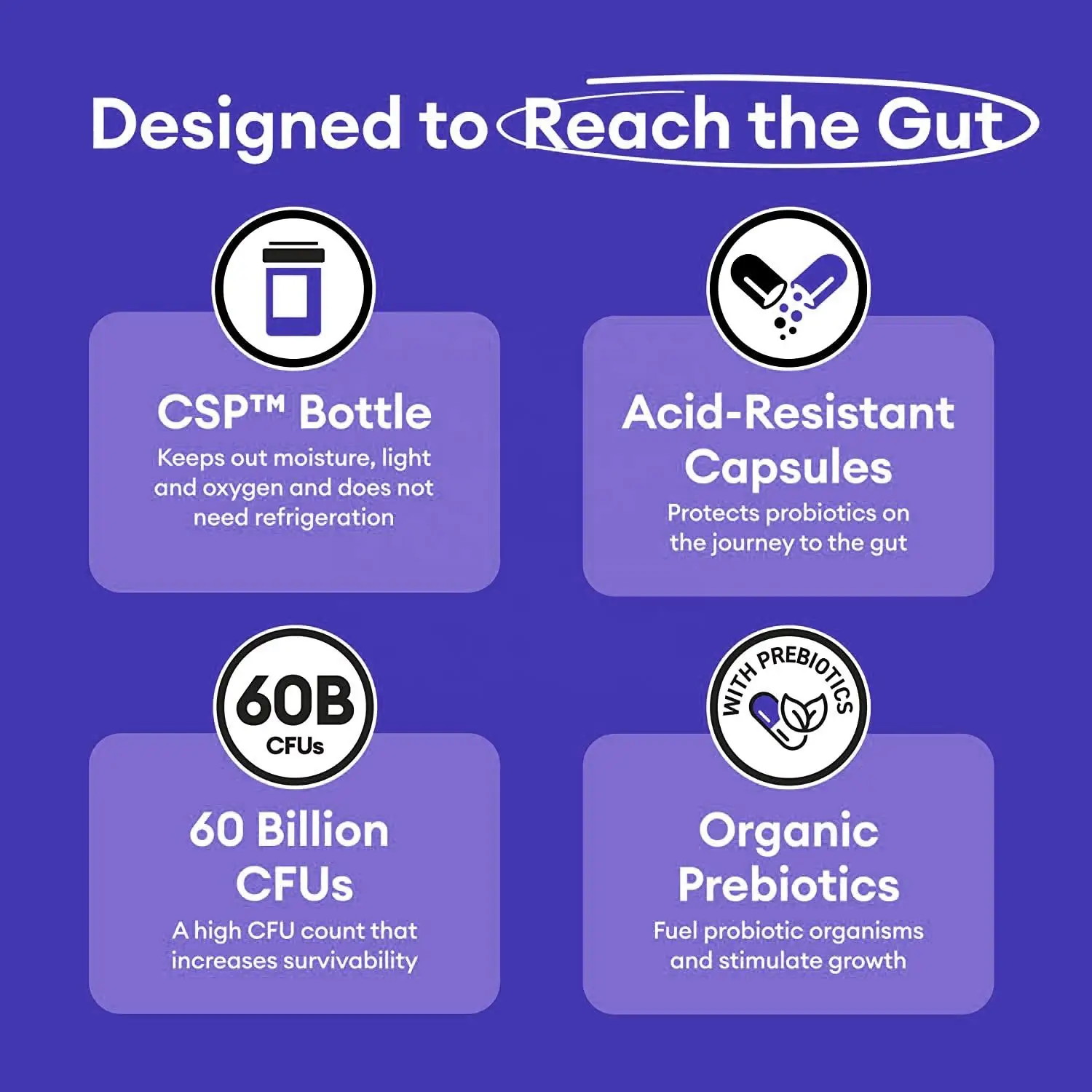 Own-brand Probiotic capsules OEM 60 billion CFU Vegetarian probiotic capsules for women Balanced supplements for women