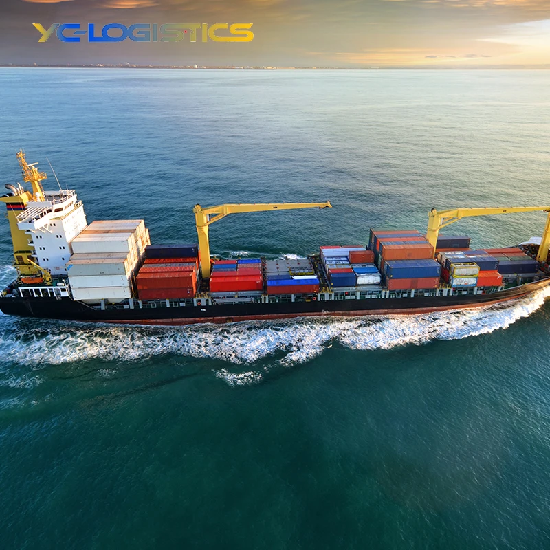 cheap sea freight from china to australia shipping rates from china to usa ddp service free shipping new zealand