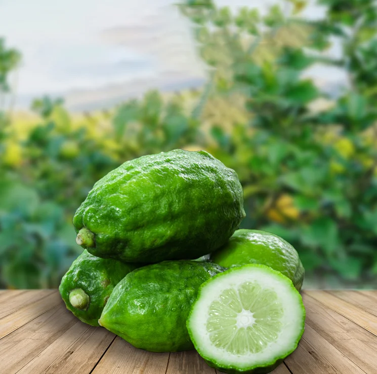 Оптовая продажа свежие фрукты зеленый кислый вкус лимон без семян