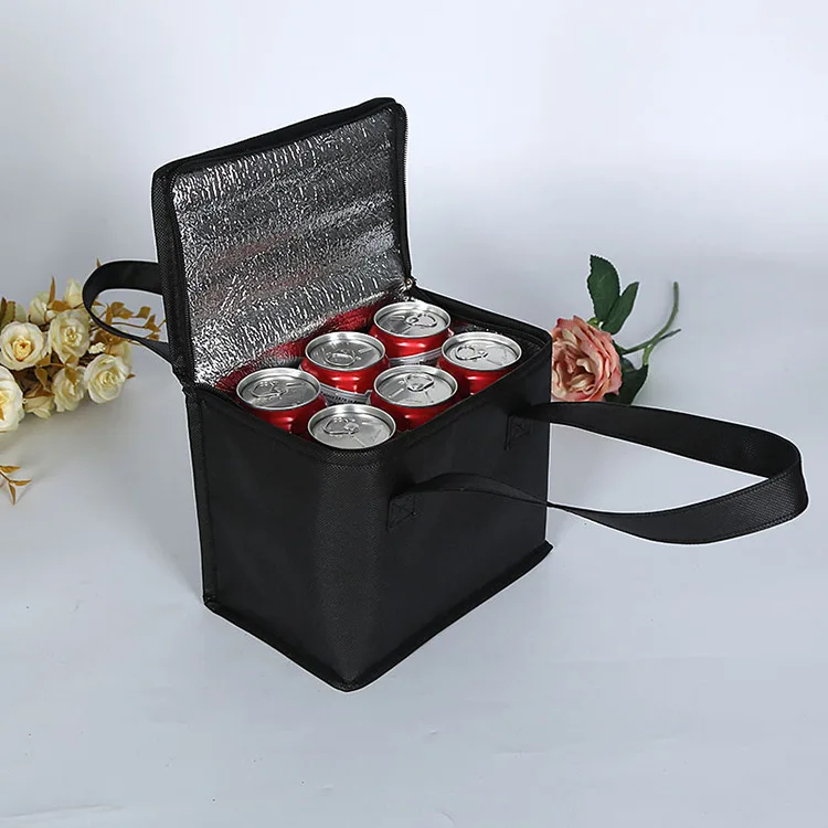 Custom Insulated Cans Cooler Bag Non Woven Outdoor Picnic Food Foldable Cooler Bag