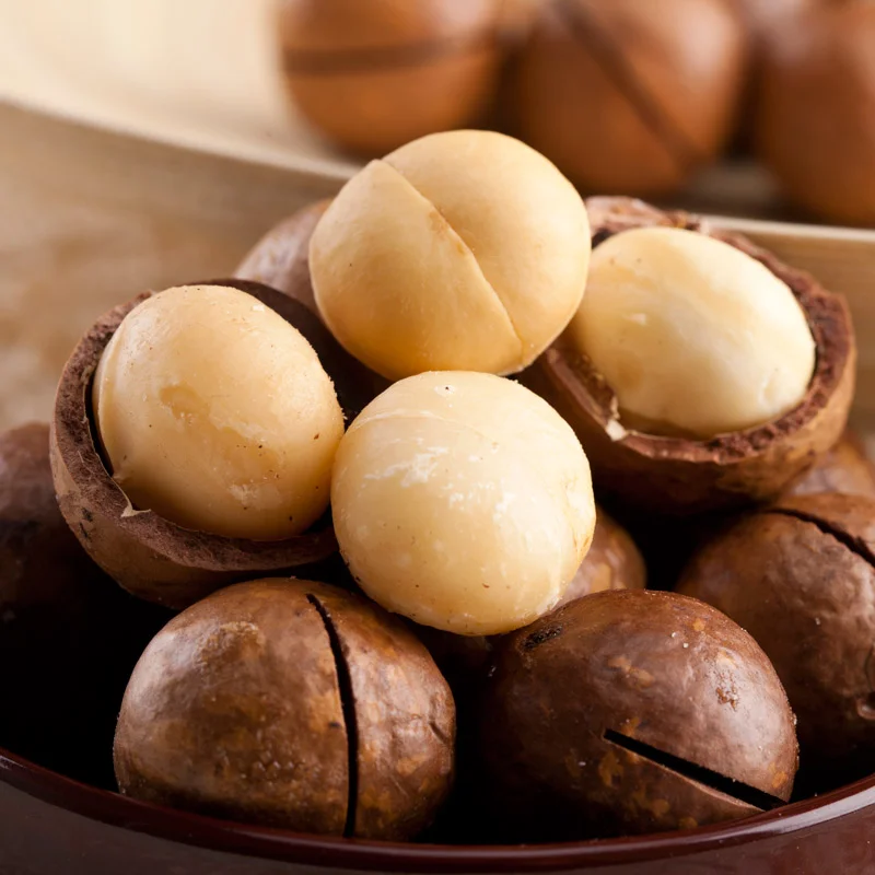 Factory Price Macadamia Nuts Wholesale Roasted Macadamia Nuts with fast delivery