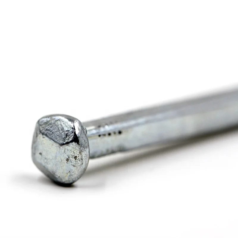 High Quality Steel Square Head Boat Nails from China Factory