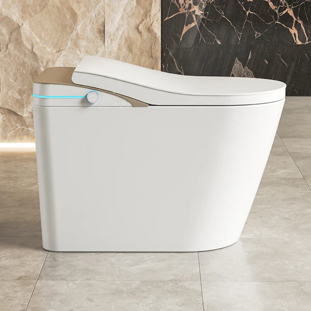 Electric Bidet Heated Smart Toilet With Sunken Water Tanka