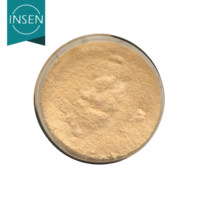 Fresh Dried Mango Powder Organic Mango Flavour Juice Powder