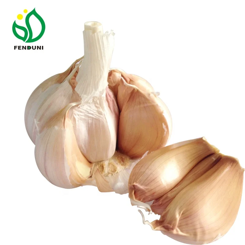 (garlic cloves) fresh garlic crop price directly  from garlic factory