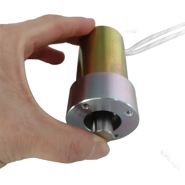 Custom 15mm 20mm Long Stroke 12v 24v Dc Push Pull Tubular Solenoid for Lockers Locking