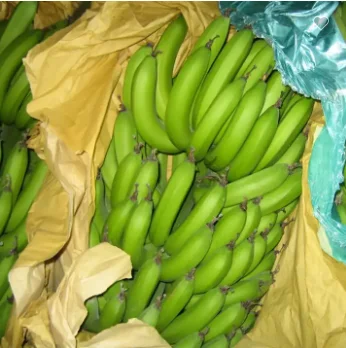 Custom logo date palm banana fruit grow protection cover wrapping paper bag