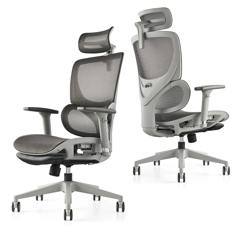 Fully Breathable Mesh Ergonomic Chair With Lumbar In Grey Color Frame For Office