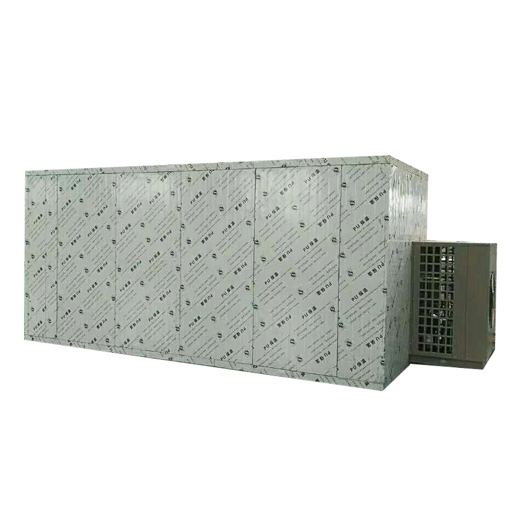 Food Dehydrator Fruit Drying Machine Litchi Heat Pump Dryer