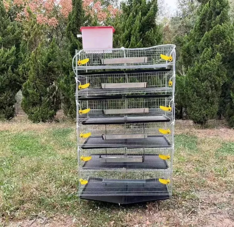 Hot sale quail cage for male and female fertilized eggs commercial quail cage for jumbo quails