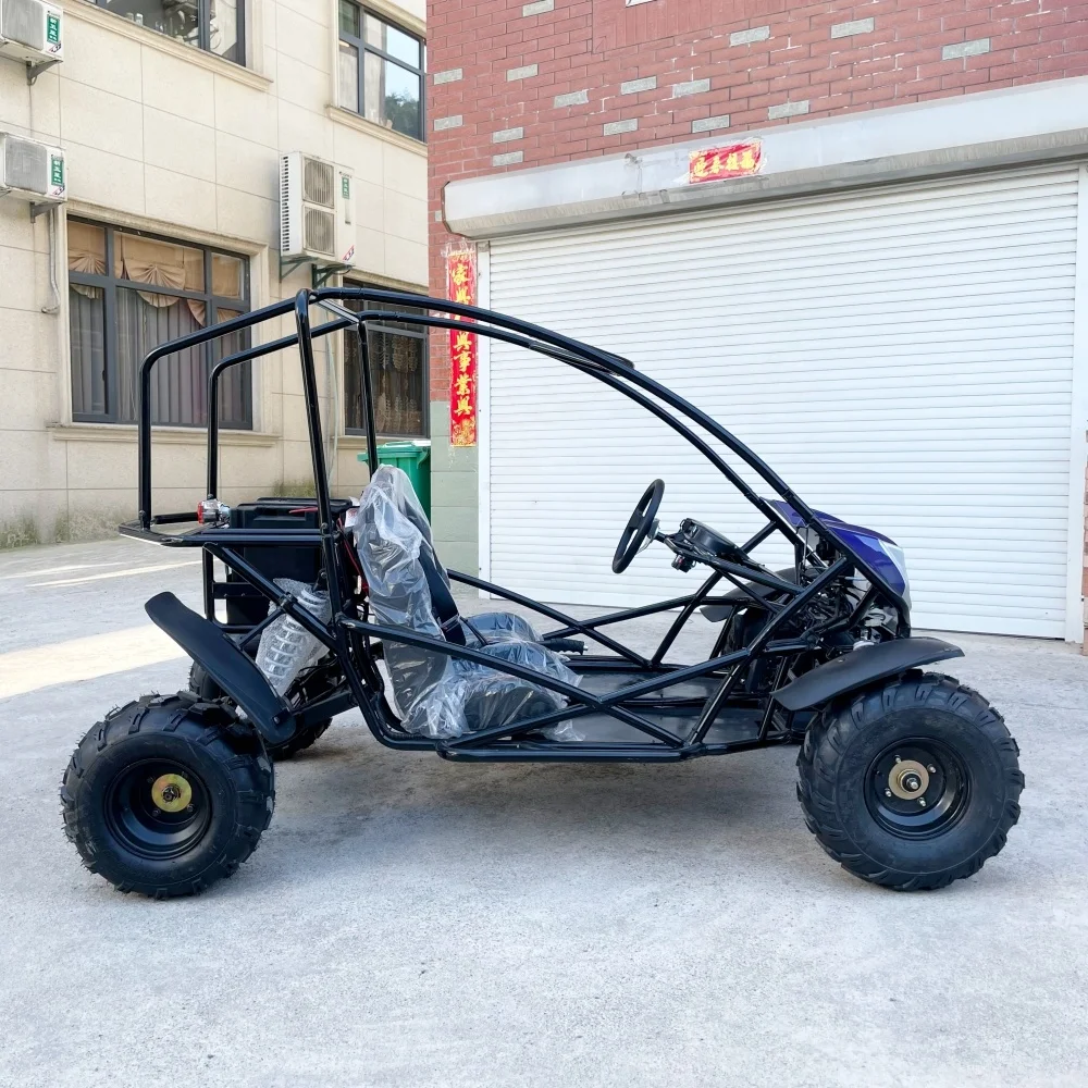 LNA Sports-vtility off Road Wheels 2000w Electric dune Buggy Go Kart