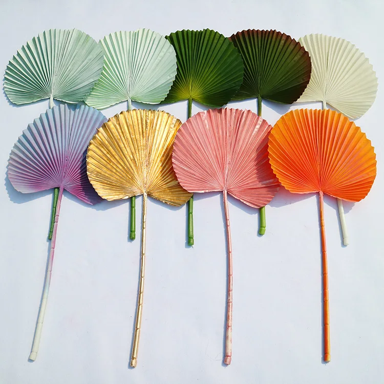 IFG green flower wall dried white palm leaves Colorful dried palm leaves