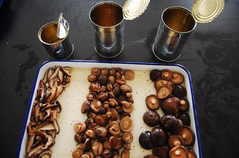factory price canned seasoned shiitake mushrooms whole