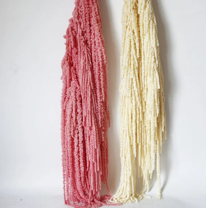 hanging amaranth preserved amaranthus red white black amaranths frozen preserved fresh real amaranth dry flower