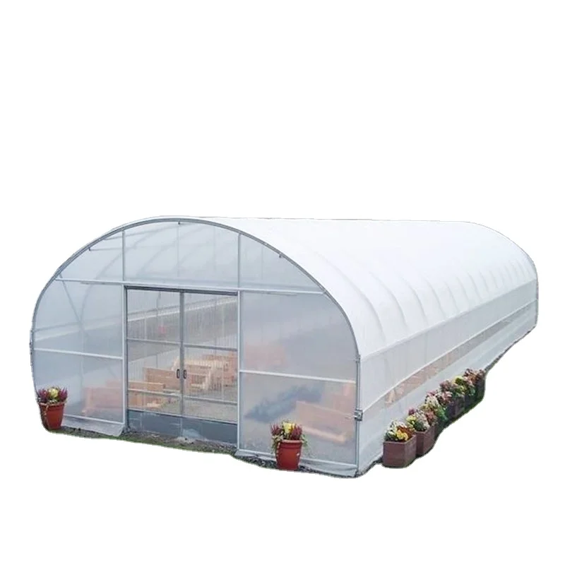 Plastic Film Covered Tunnel Greenhouse with Hot-dip galvanized Pipes for fastening Tomatoes and Melons Grow