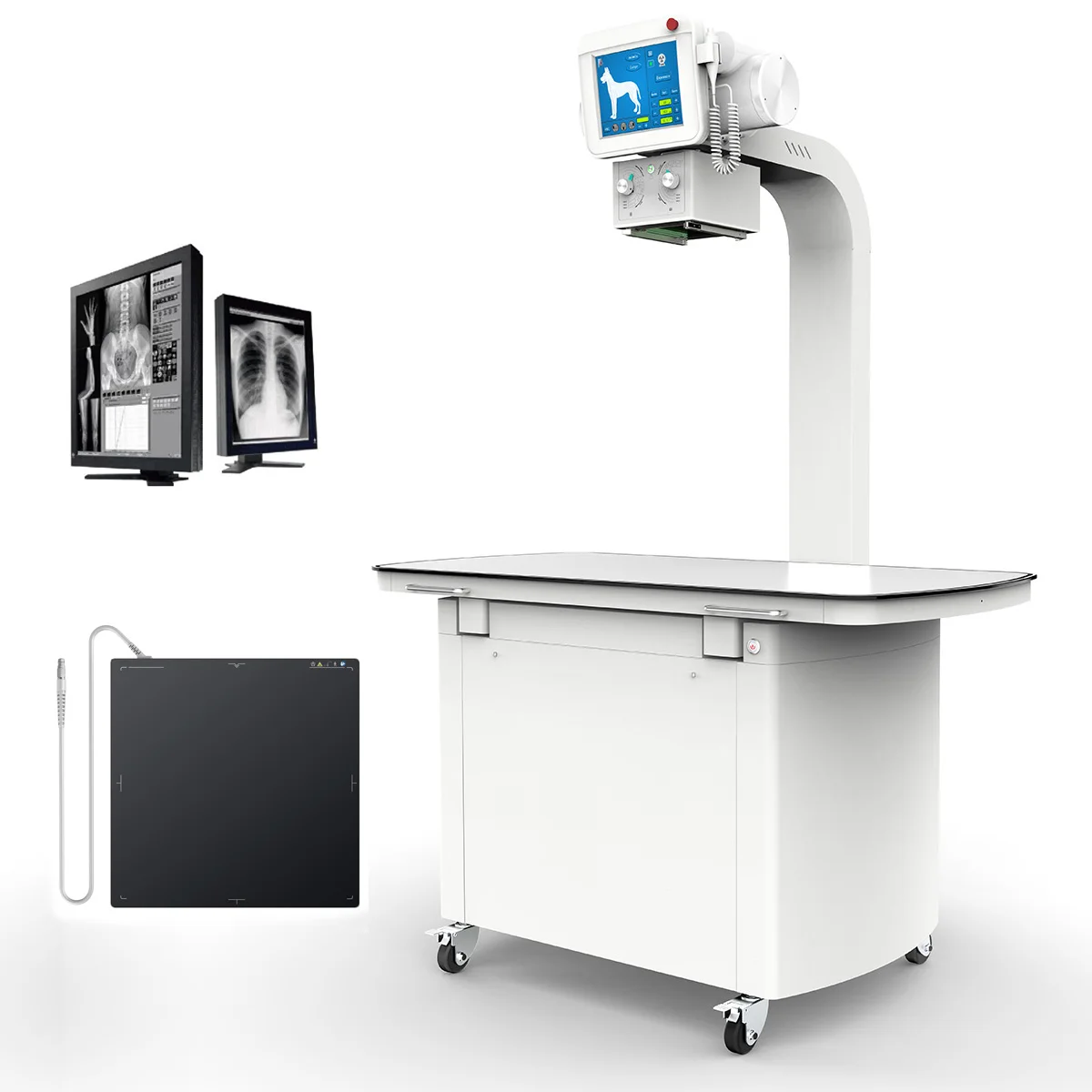 Small Veterinary X Ray Equipment X Ray Vet Portable